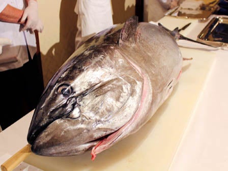 中部発 日帰り 豊臣秀吉ゆかりの地 大河ドラマ館とマグロ解体ショー!2